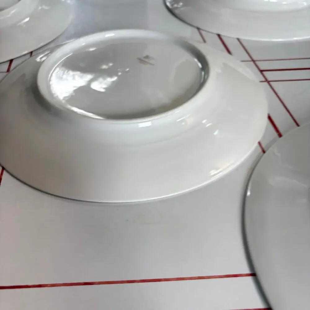 Bernardaud & Co Limoges light shipping